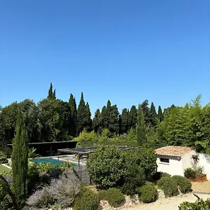 Des Mirabelles , Cabannes France
